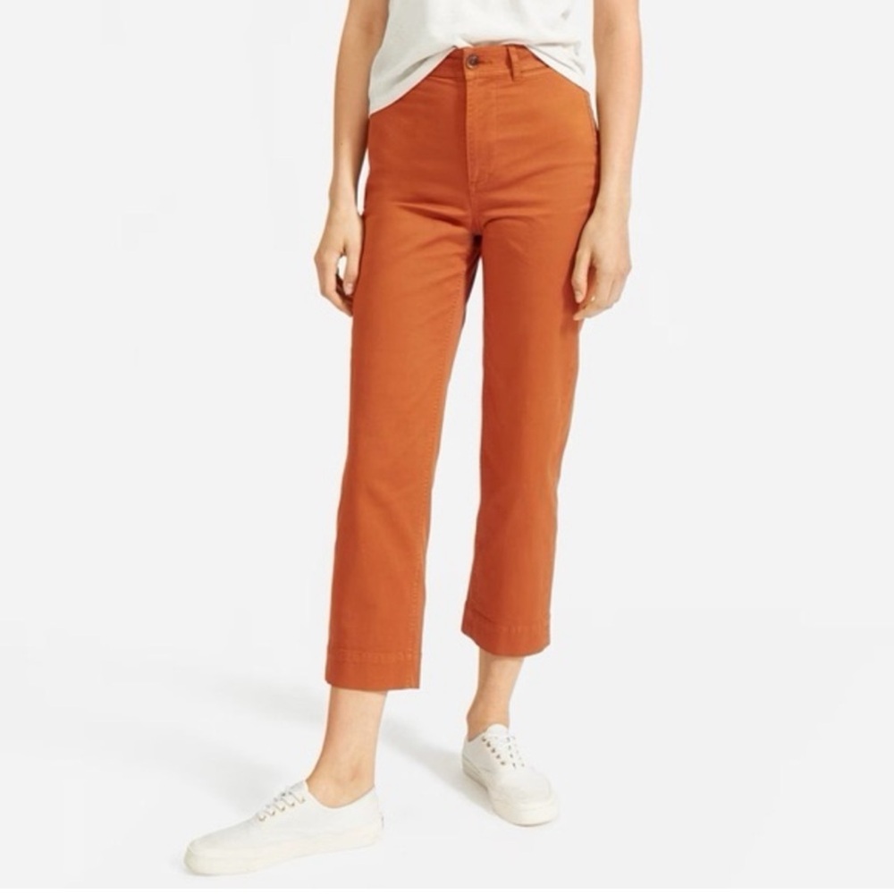 Everlane Straight Leg Cropped Pants in Rust, Size 8